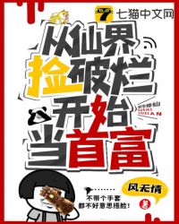 从仙界捡破烂开始小说